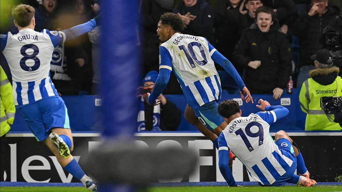 Brighton celebrate Rutter's dramatic equaliser