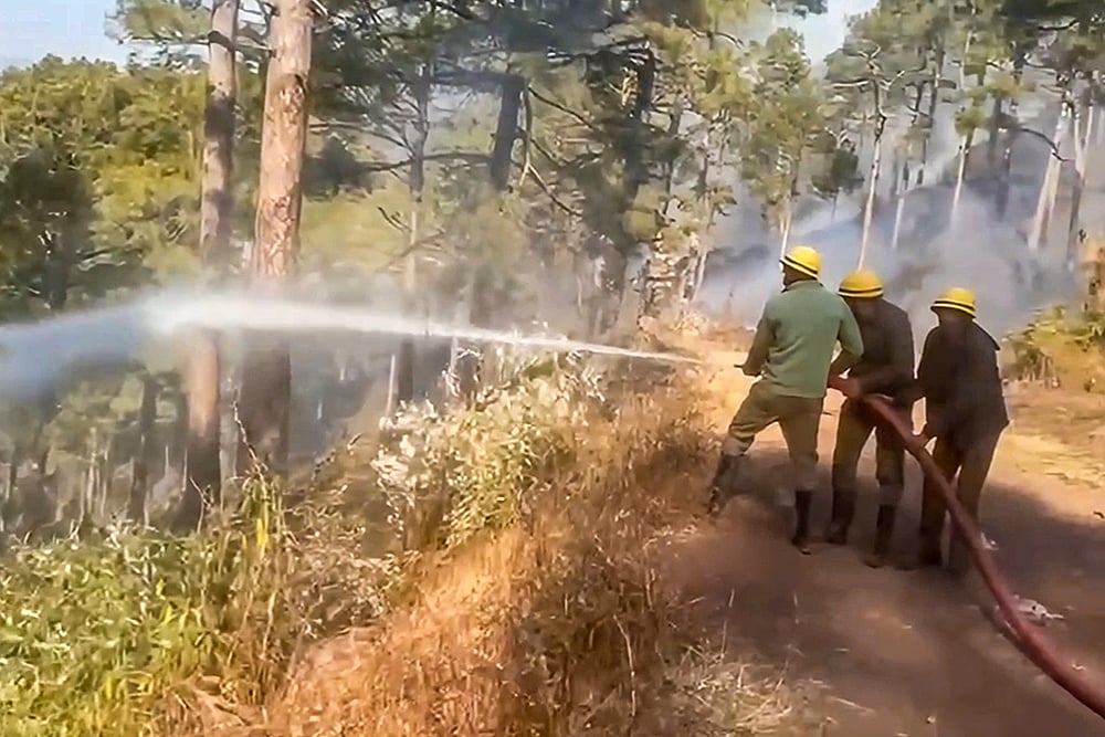 Jammu forest fire