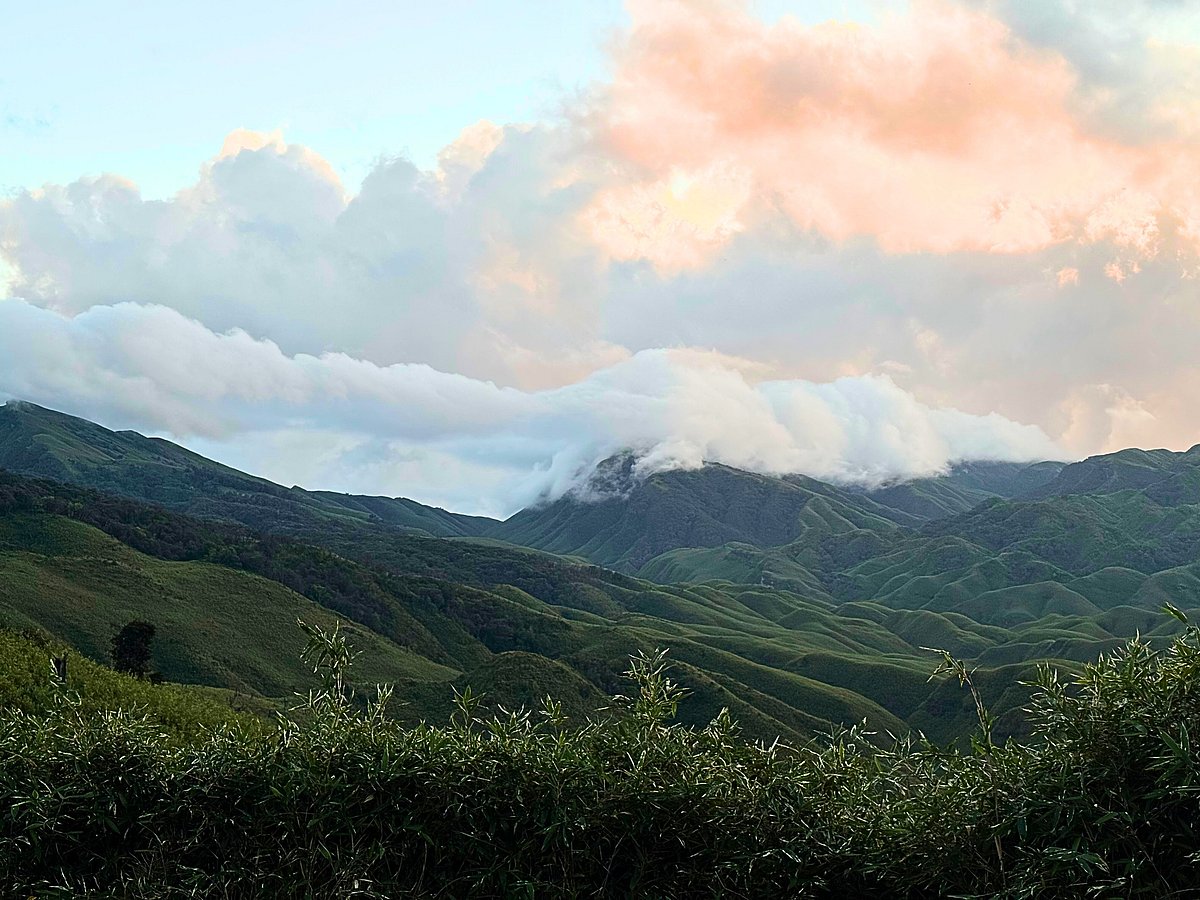 X.com : 
Dzukou Valley is known for its rich biodiversity and scenic trekking routes.