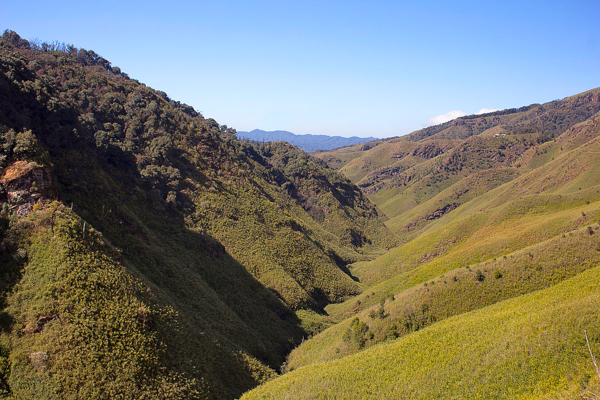 Sushil Chikane; IMAGO / Dreamstime; Representative image  : Dzukou valley, located at the border of the states of Nagaland and Manipur.
