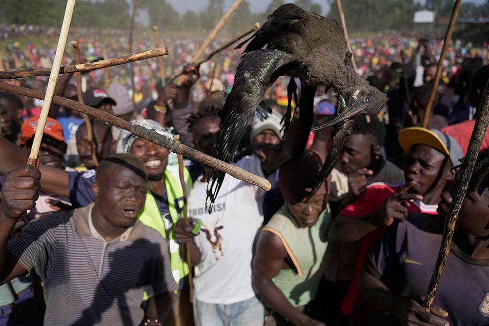Kenya Bullfighting photo-