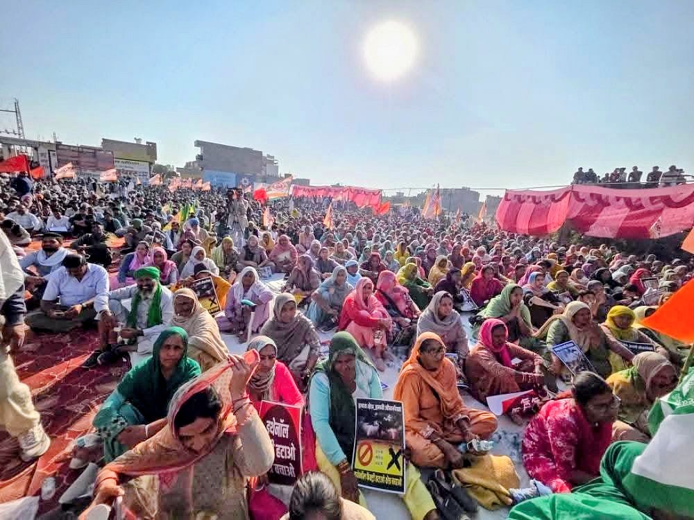 X : Farmers protesting ethanol plant on farm land in Tibbi Tehsil of Hanumangarh, Rajasthan. 