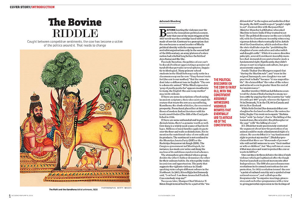The Bovine Riddle