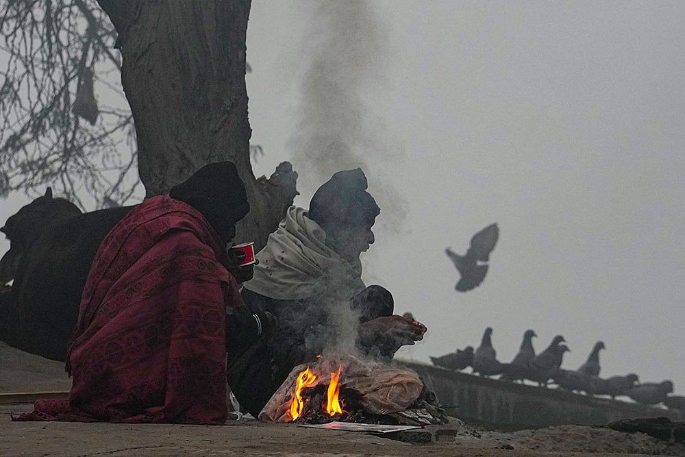Delhi Winter