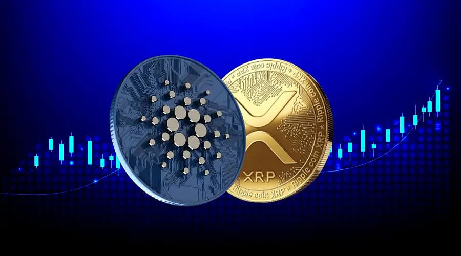XRP coin