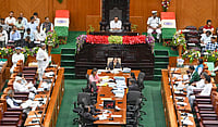 Representational Image