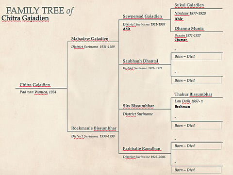 Roots and Beginnings: The family tree shows the various castes and villages of my ancestors. I researched two contracts of my family members who migrated five generations ago from India to Suriname. The contract of Dhannu reveals that she migrated from the village Basain in the district Banaras in Uttar Pradesh. Her husband, Sukai Gajadien, migrated from the village of Nindaur in Ara district of Bihar