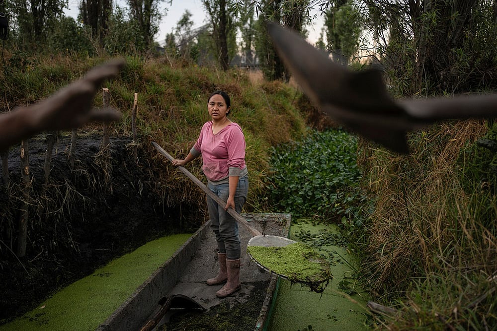  Yearender Photo Gallery - Climate 2025-Mexico City weather