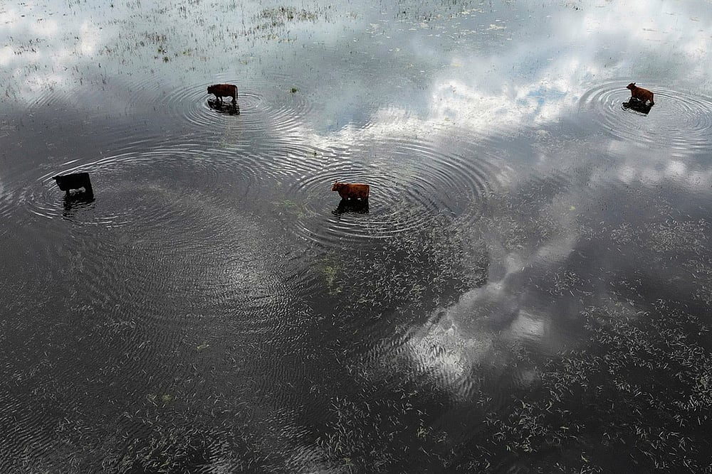 Yearender Photo Gallery - Climate 2025-Argentina floods
