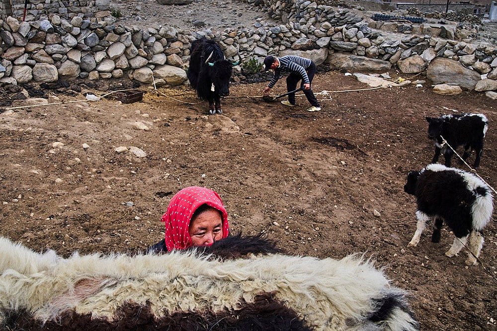  Yearender Photo Gallery - Climate 2025-Ladakh weather