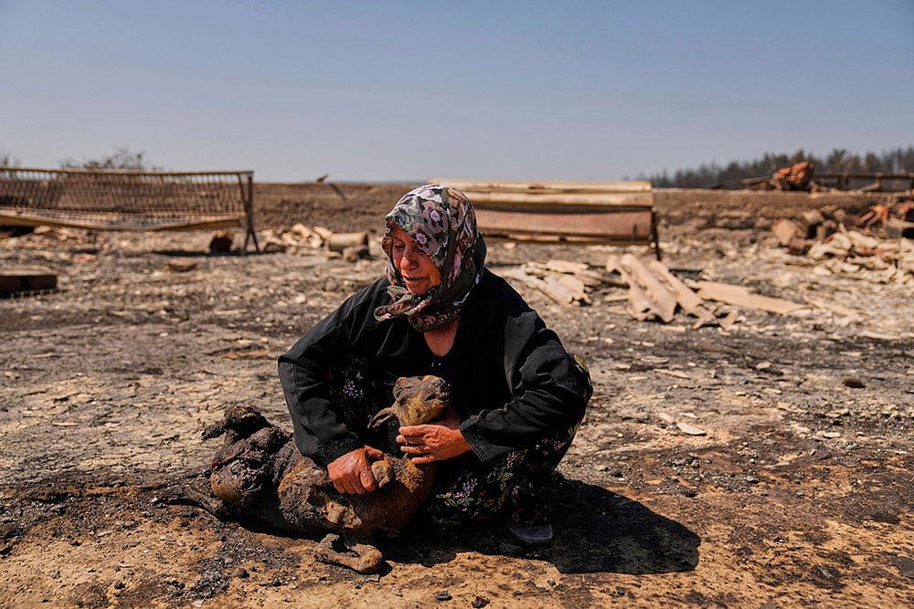 Yearender Photo Gallery - Climate 2025-Turkey wildfire