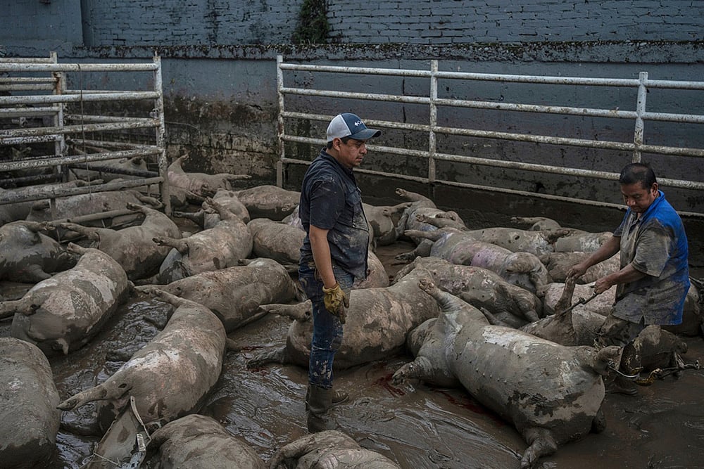 Yearender Photo Gallery - Climate 2025-Mexico heavy rainfall