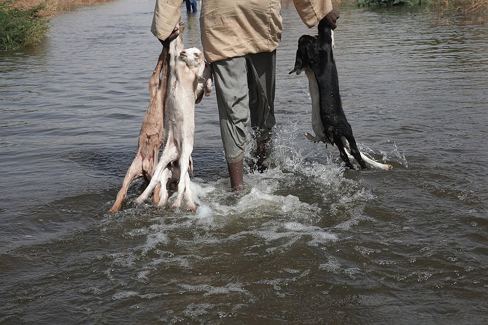 Yearender Photo Gallery - Climate 2025-Sudan flood