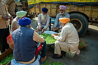 Shutterstock : Haryana, India December 9 2020: Sikh mans sit in a circle to shell peas for langar (community kitchen) preparation during Farmer protest.