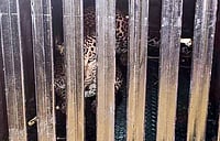 Ahilyanagar Leopard Crisis: 21 Big Cats Rescued After Months In Cages, Welfare Concerns Persist Imago/ANI : Animal rights activists and wildlife conservationists alleged that the big cats were kept in cramped conditions amid soaring summer temperatures, leading to severe stress and health complications.