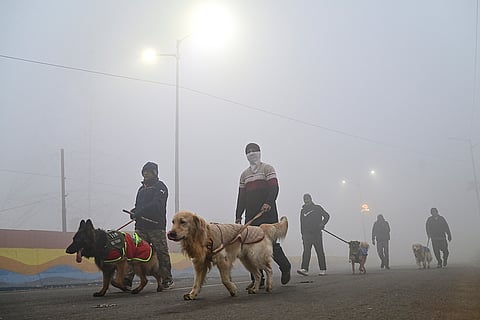 People take a stroll with their pets on a winter morning, in Prayagraj.