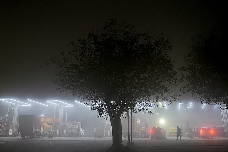 The IMD has issued a yellow alert, cautioning that dense fog is likely at many isolated places till forenoon. - | Photo: PTI/Salman Ali