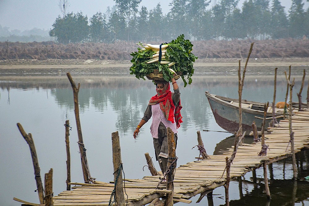 Woman carries vegetables across jetty in Moradabad