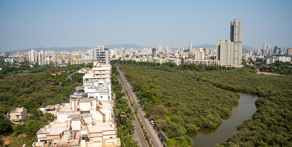 Shutterstock : Arial view of empty roads and Mangroves at Charkop sector 8, Mumbai
