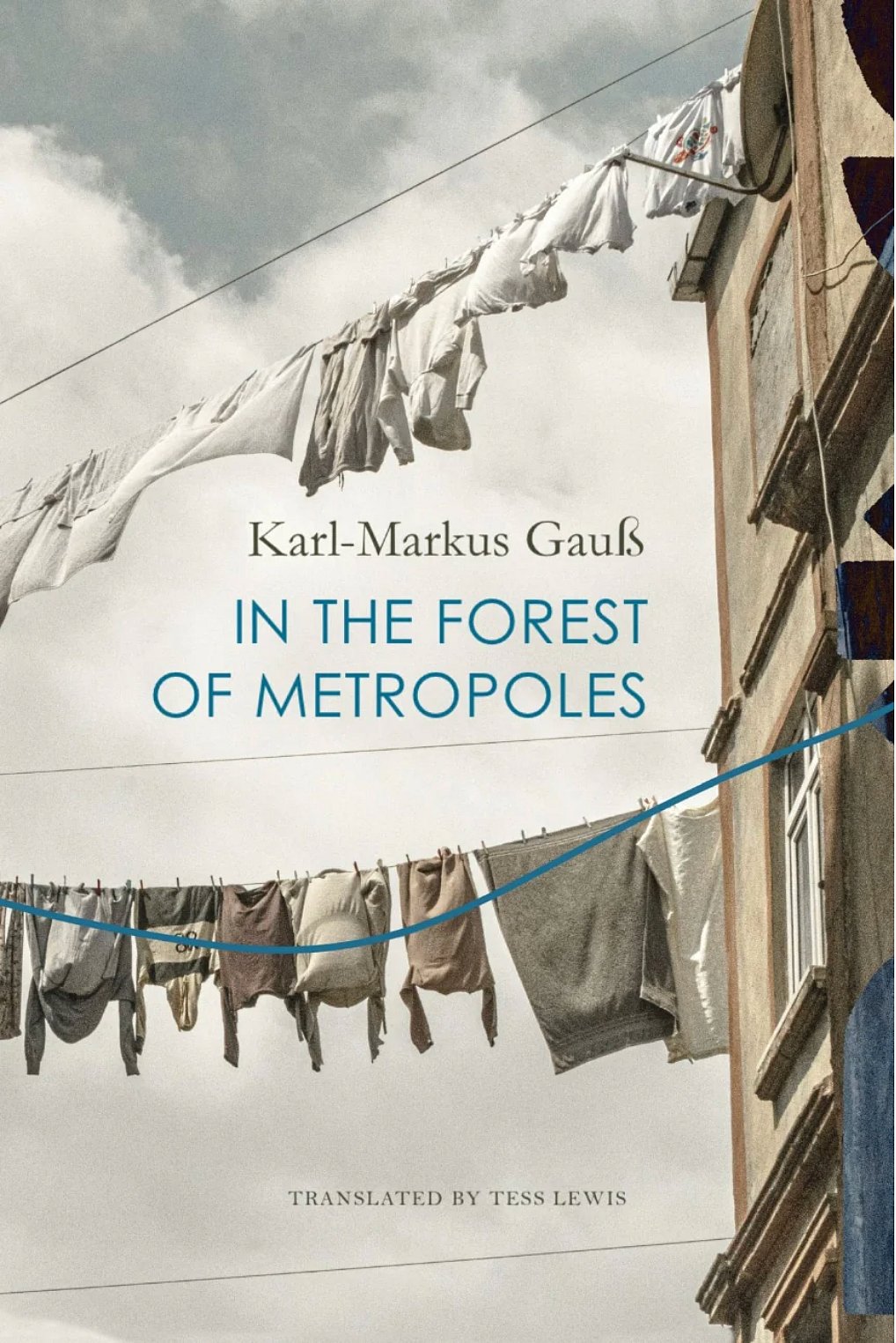 Cover of 'In The Forest Of Metropoles'