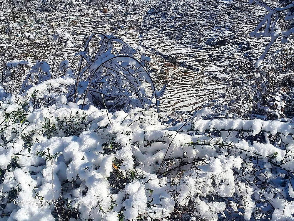 Season’s first snowfall blankets Niti Valley village in Chamoli