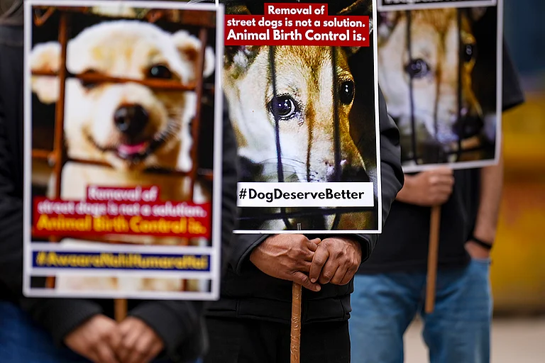 Delhi Court Fines Animal Care Centre ₹2 Lakh Over Pet Dog Custody. - | Photo: PTI/Karma Bhutia
