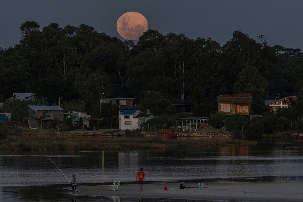 Uruguay Wolf Supermoon