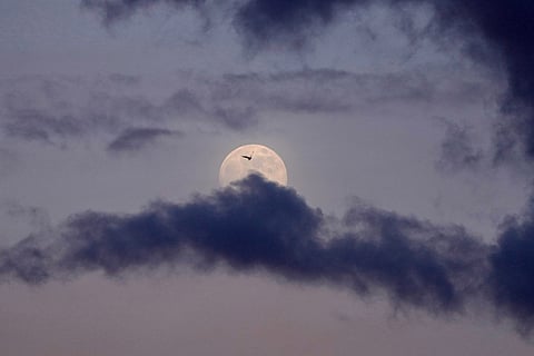 A bird flies as the full moon, known as the Wolf Supermoon rises in the sky over Belgrade, Serbia.