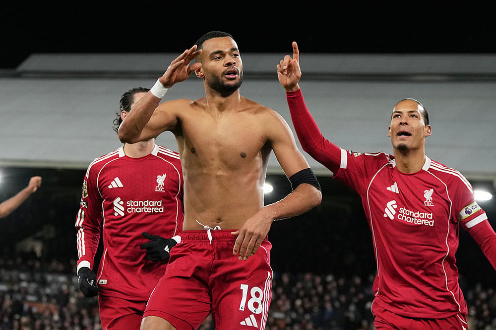 Fulham Vs Liverpool United Premier League match-Cody Gakpo