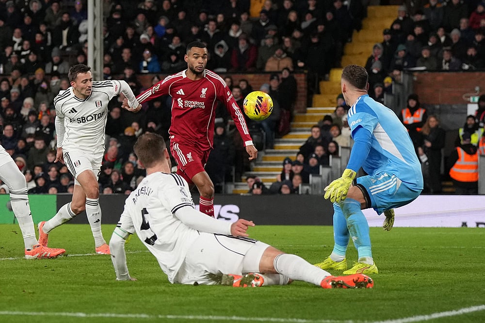 Fulham Vs Liverpool United Premier League match-Cody Gakpo 