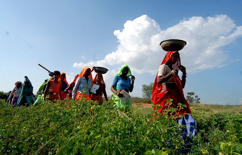 Women labourers under National Rural Employment Guarantee Act (NREGA) in Karauli district, Rajashtan