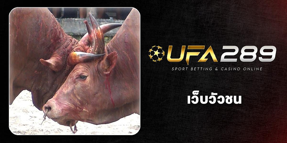 UFA289 Banner