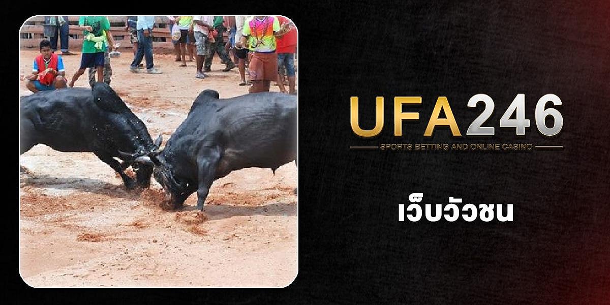 UFA246 banner