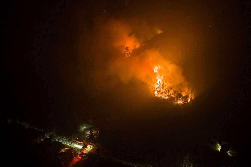 Chile Wildfires Photos