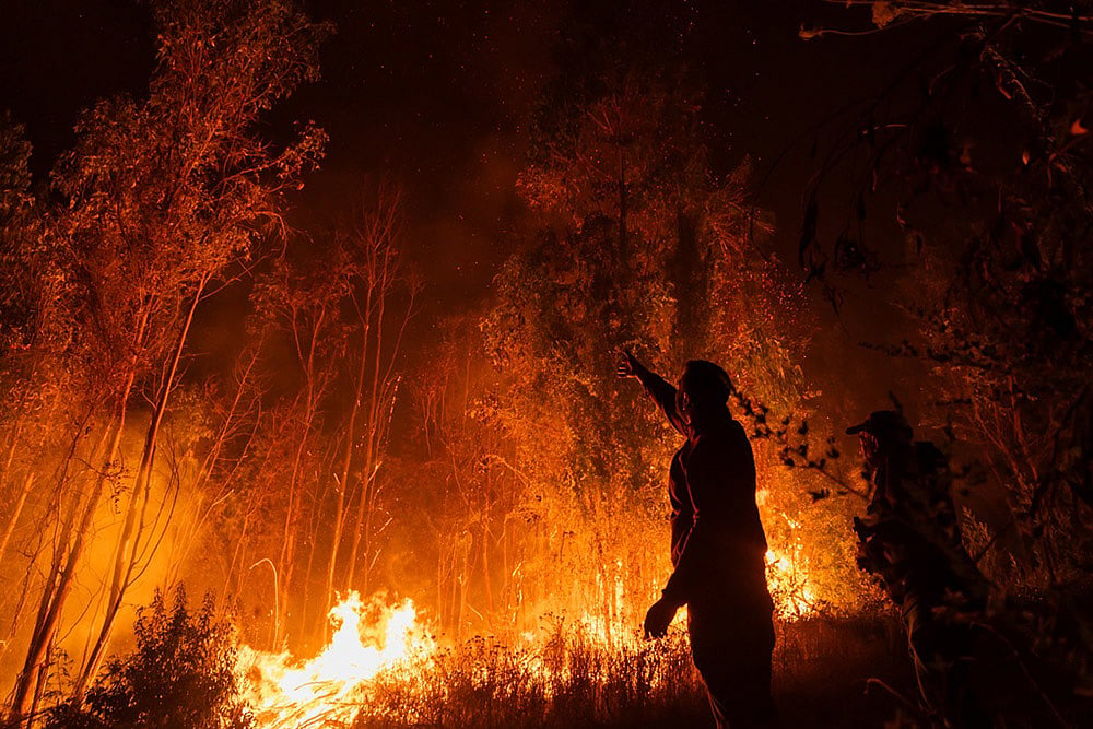 Wildfires Chile Photos