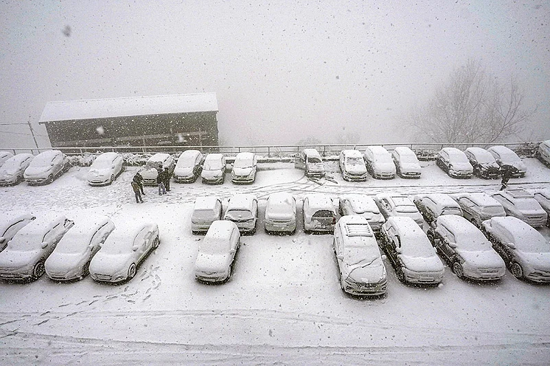 Weather: Snowfall in Shimla