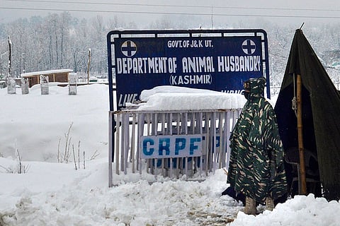 A CRPF personnel stands guard at a snow-covered stretch during fresh snowfall, in Anantnag district, Jammu and Kashmir.