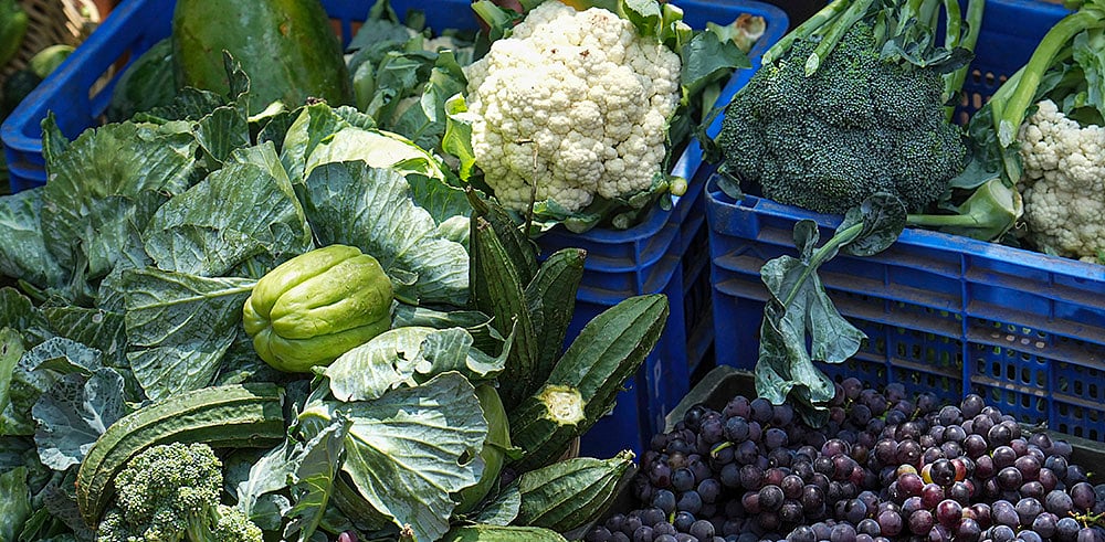 PTI/Shailendra Bhojak : Previous outbreaks have been linked to raspberries, basil, cilantro, snow peas and salad mixes. 