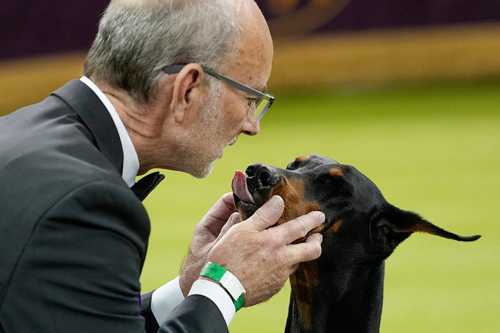 Westminster Dog Show 2026 photos-Andy Linton and doberman pinscher Penny