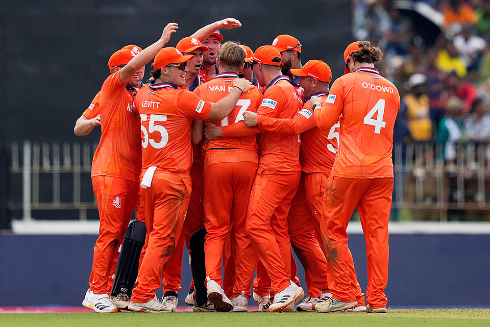 Netherlands vs Pakistan T20 World Cup cricket photos-