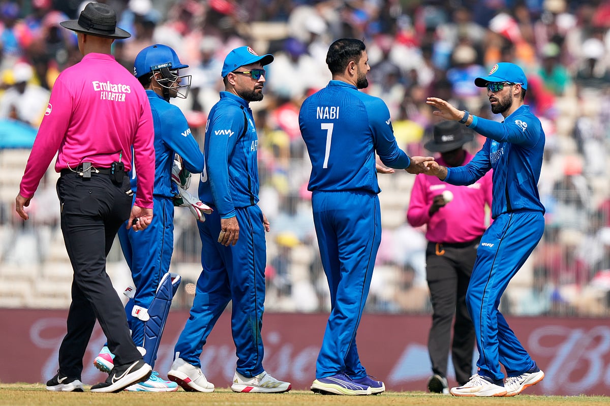 | Photo: AP/Mahesh Kumar A. : Afghanistan's Mohammad Nabi celebrates with teammates the wicket of New Zealand's Tim Seifert during the T20 World Cup cricket match between Afghanistan and New Zealand in Chennai, India, Sunday, Feb. 8, 2026. 