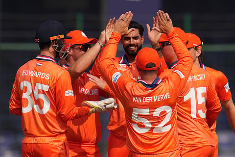 Netherlands cricketers celebrate the dismissal of Louren Steenkamp during the T20 World Cup cricket match between Namibia and Netherlands in New Delhi.