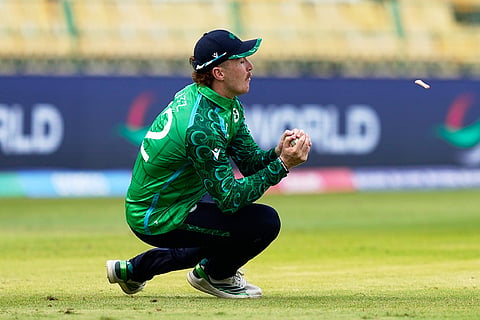 Ireland's Ben Calitz takes the catch to dismiss Australia's Marcus Stoinis during the T20 World Cup cricket match between Australia and Ireland in Colombo, Sri Lanka.