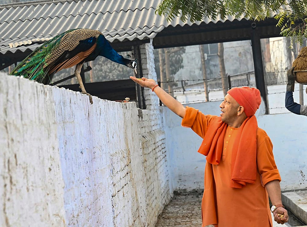 Yogi Adityanath at Gorakhnath Temple