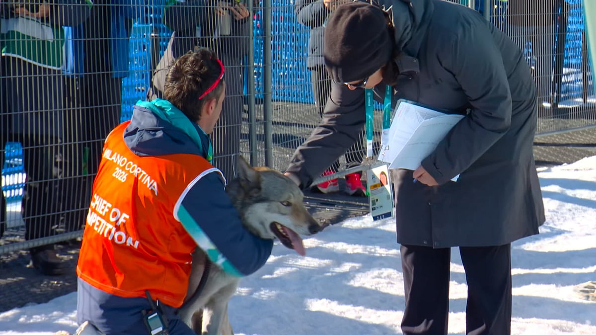 (Olympic Broadcasting Services via AP) : In this image taken from video provided by Olympic Broadcasting Services, OBS, a dog runs onto the track near the finish during the heats of the cross-country skiing women's team sprint free at the 2026 Winter Olympics, in Tesero, Italy, Wednesday, Feb. 18, 2026
