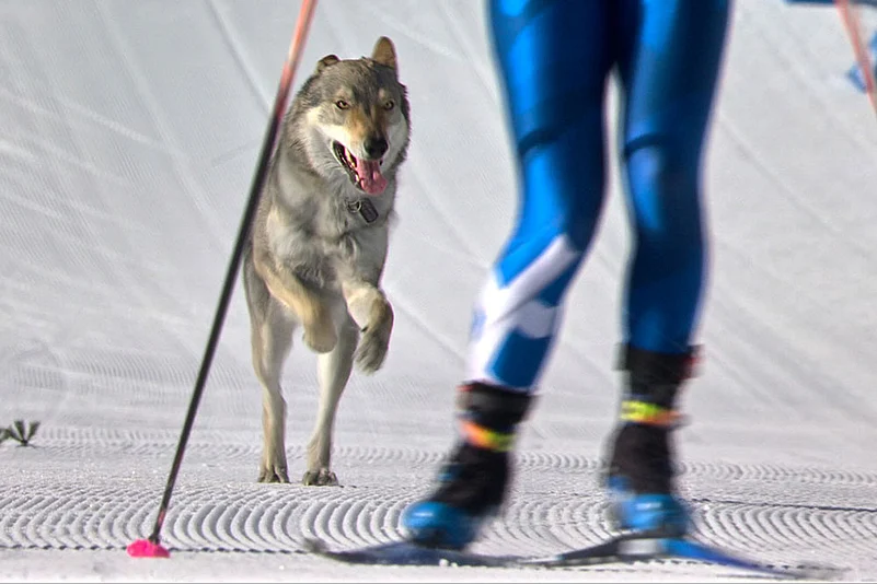 Nazguls Olympic Moment