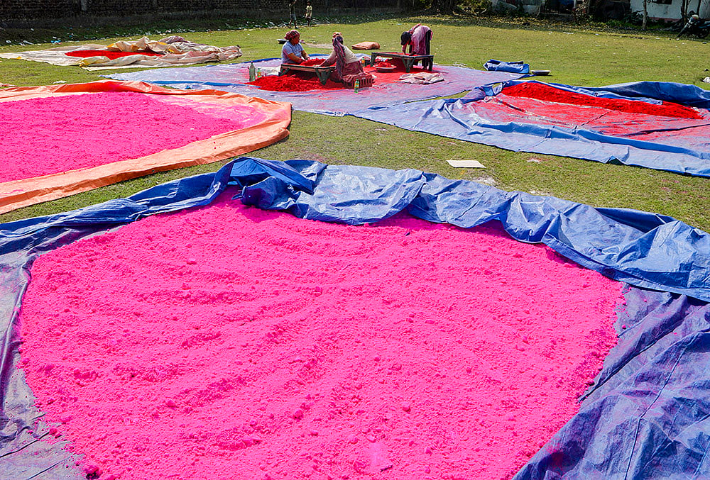 Hindu Spring Festival Holi