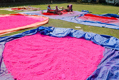 Siliguri: Workers dry and sieve coloured powder for packaging ahead of the upcoming festival Holi, on the outskirts of Siliguri, West Bengal.