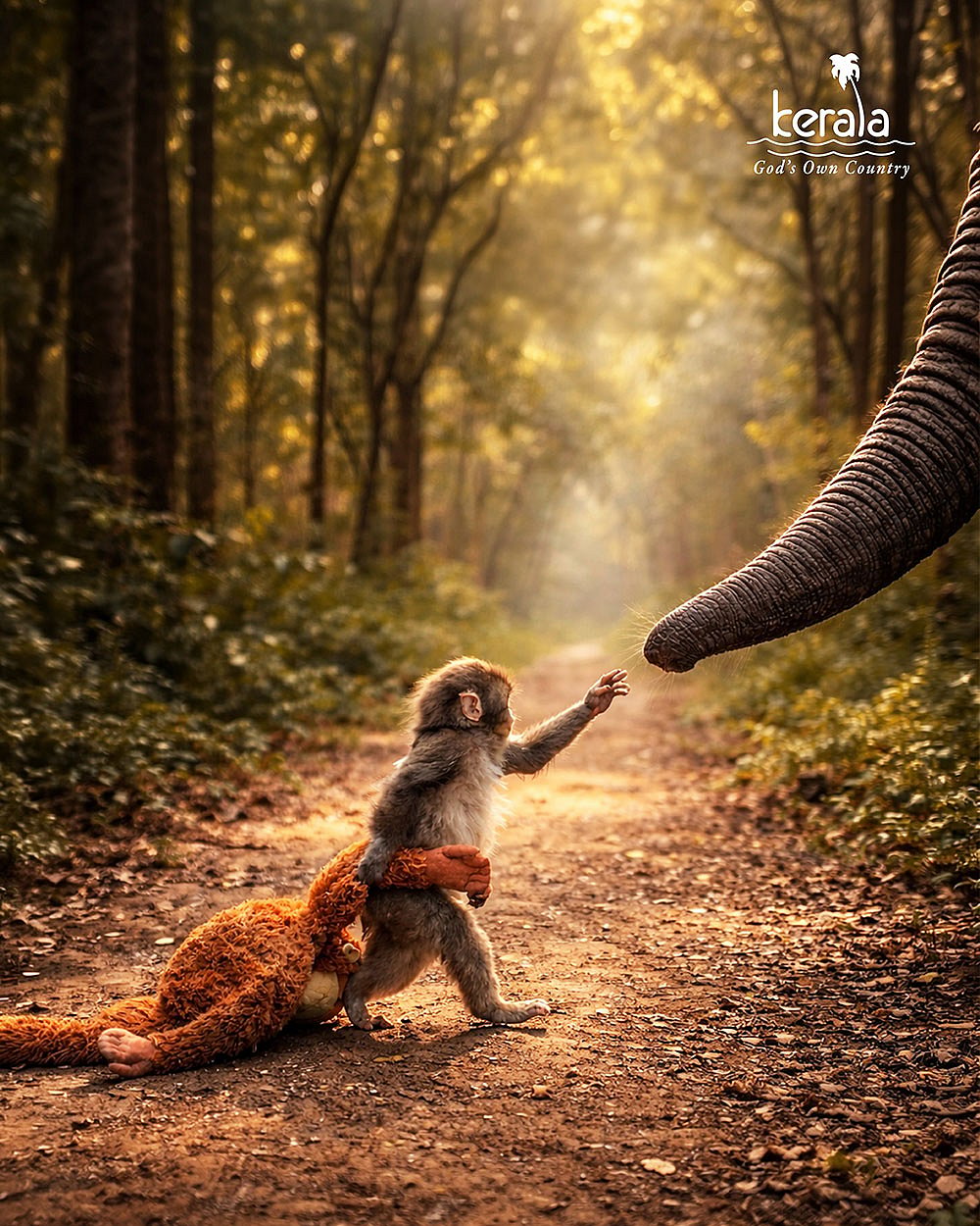 viral animal marketing campaign