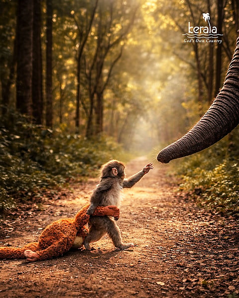 Kerala Tourism Advert featuring Punch
